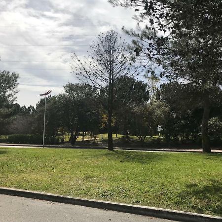 Prazeres Do Golf Apartment Quinta do Anjo Exterior photo
